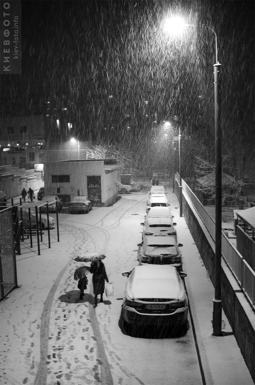 Фото: 23 ноября 2021 - в Киеве пошел первый снег