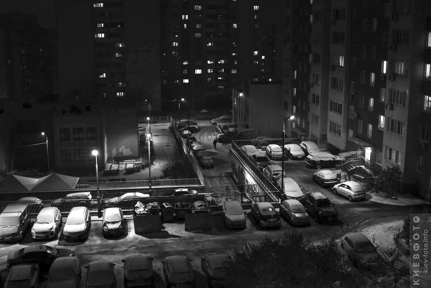 Фото: в Киеве – первый снег 2020