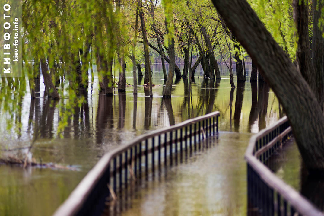 Фото затопленного парка Наталка на Оболони
