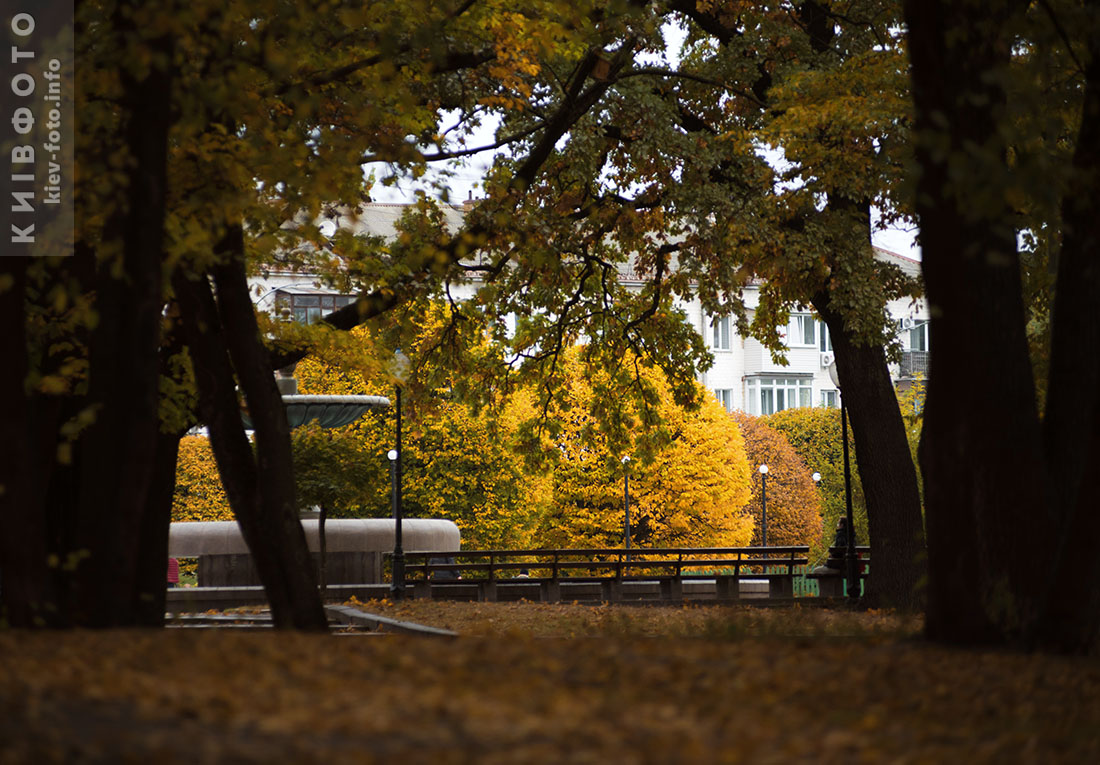 Осенние фото Голосеевского парка