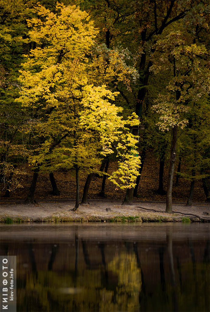 Осенние фото Голосеевского парка